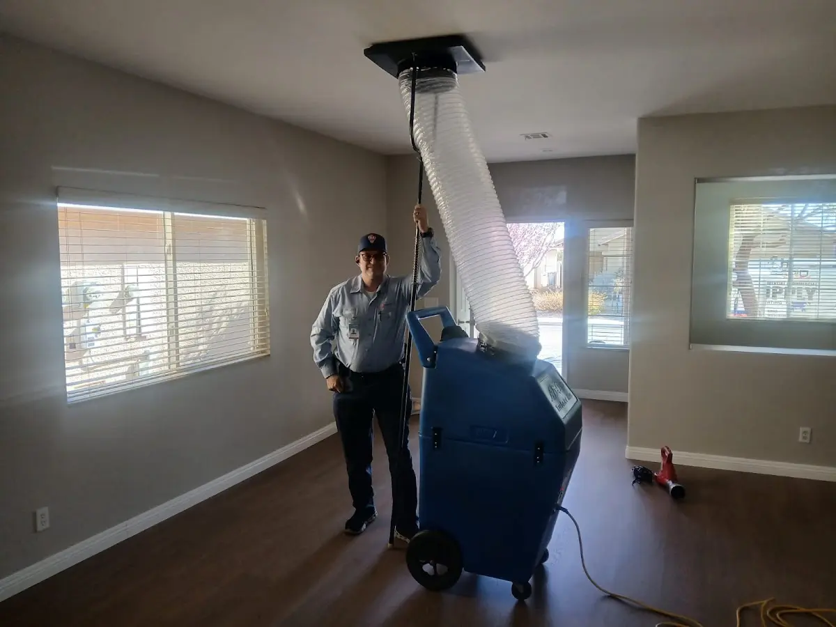 Professional Dryer Vent Cleaning work inside a Chester home